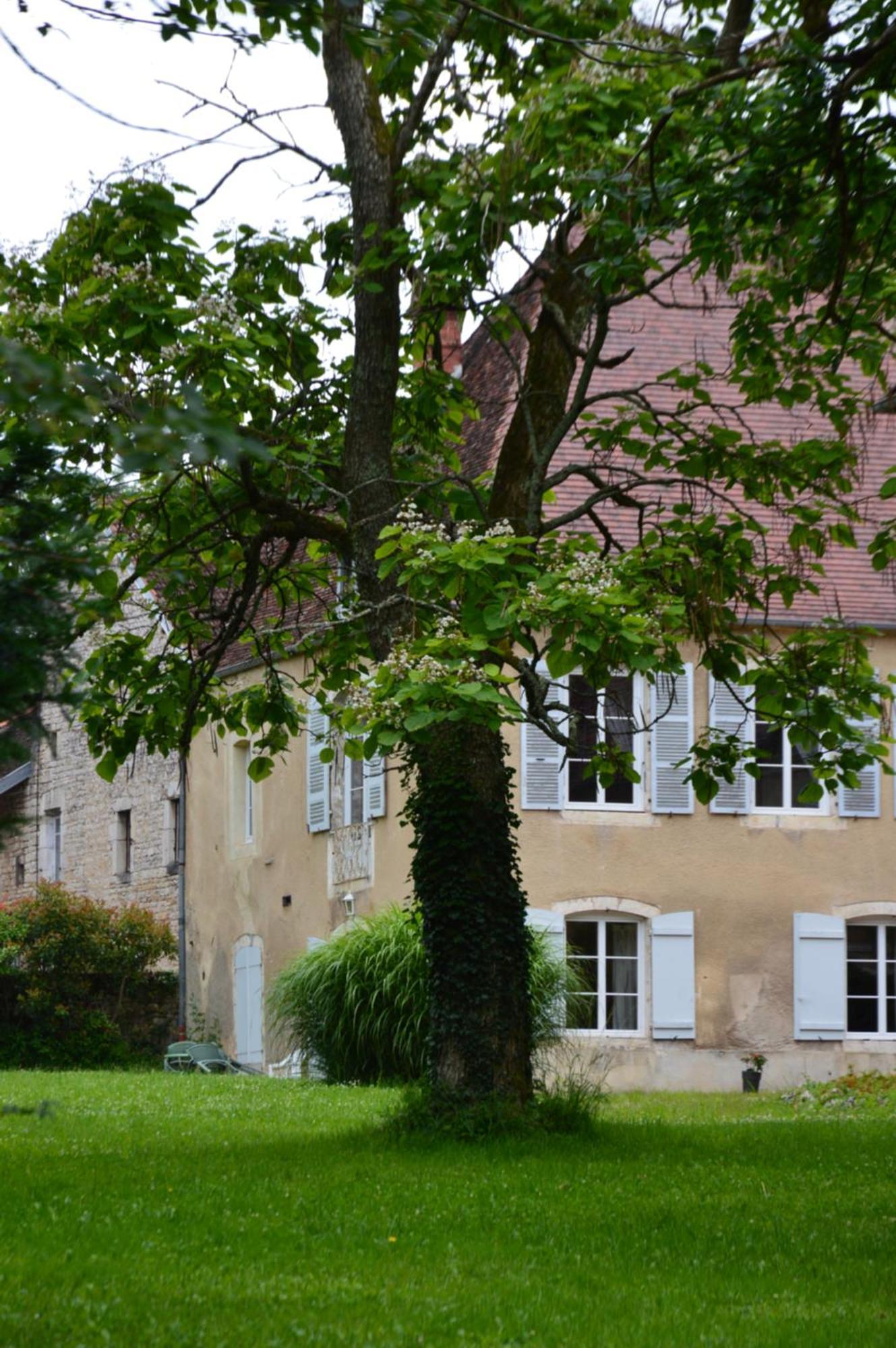 La Tourelle D'Aiglepierre Apartment Exterior photo